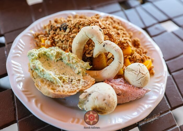 496101168_1237722041696803_6333631828199768773_n